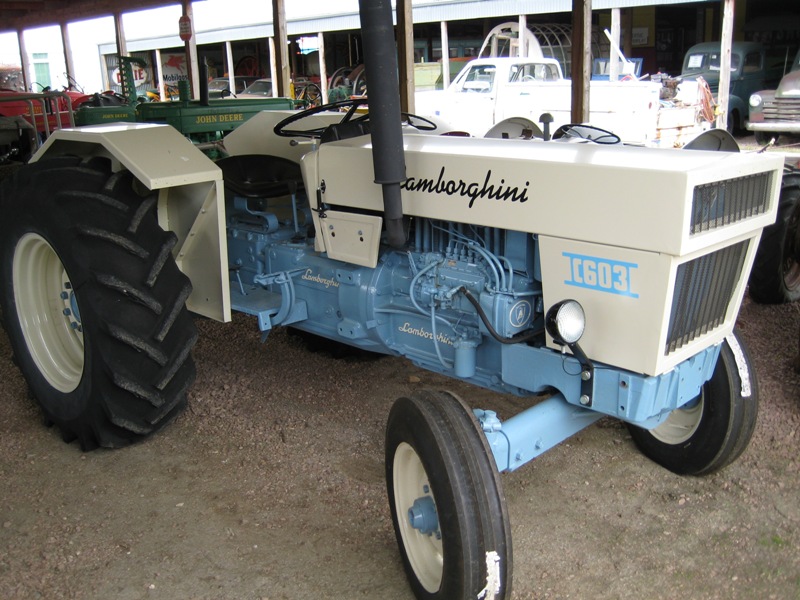 Lamborghini für den Silberrücken.jpg