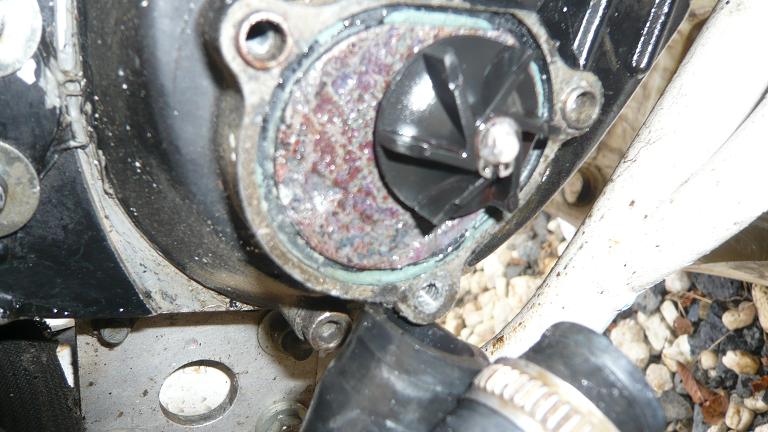 P1100616k.jpg