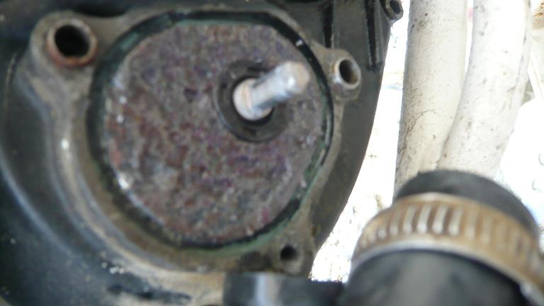 P1100618k.jpg