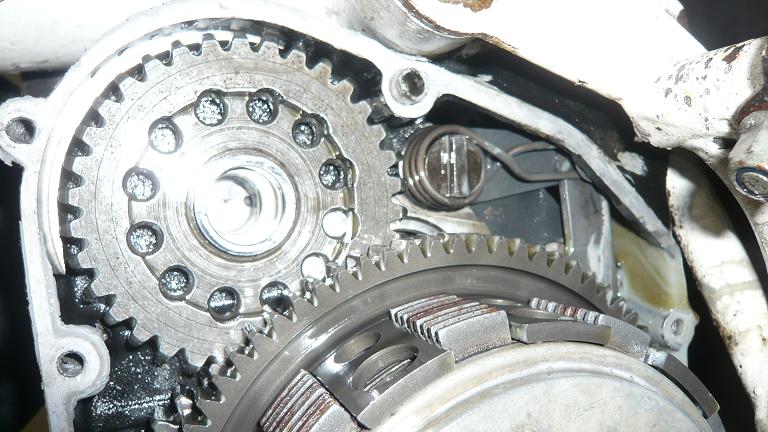 P1100622k.jpg