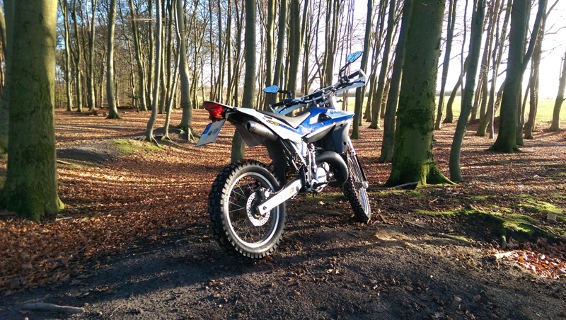 Hier mal ein Bild meiner Husky