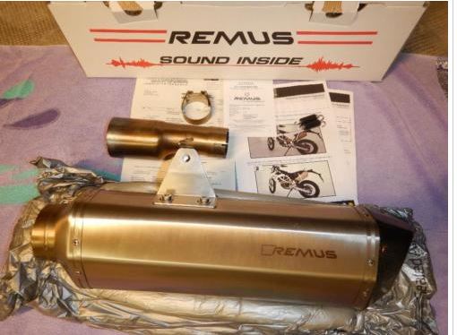 Remus_01.JPG