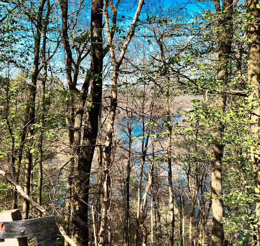 Bildschirmfoto 2019-04-23 um 09.32.40.JPG