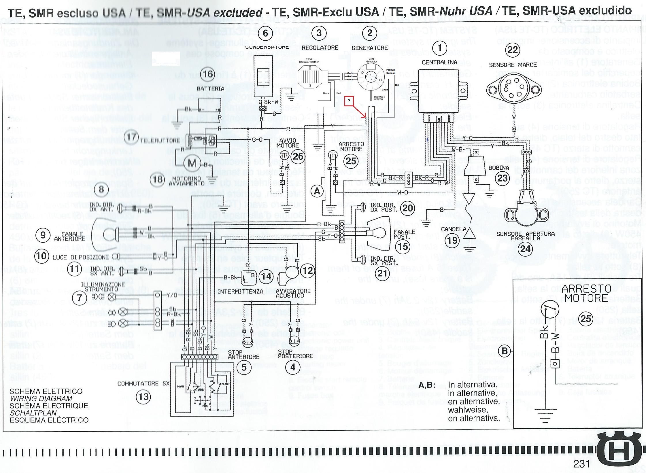 Husky TE450 Elektronik neu.jpg