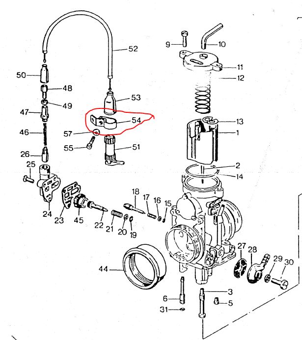 Halter.JPG