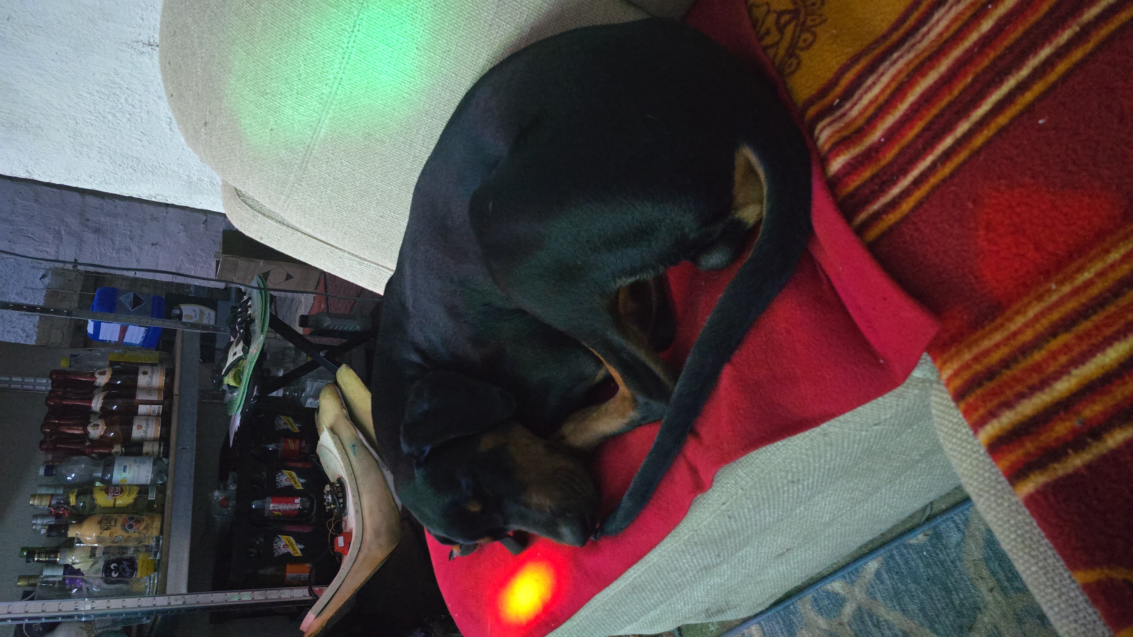 IMG-20250623-WA0012.jpeg