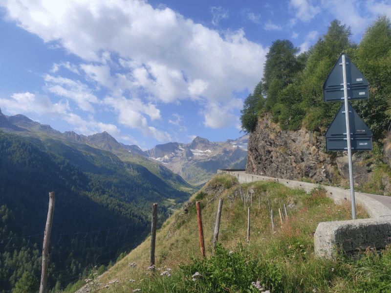 Tag5-4.jpg