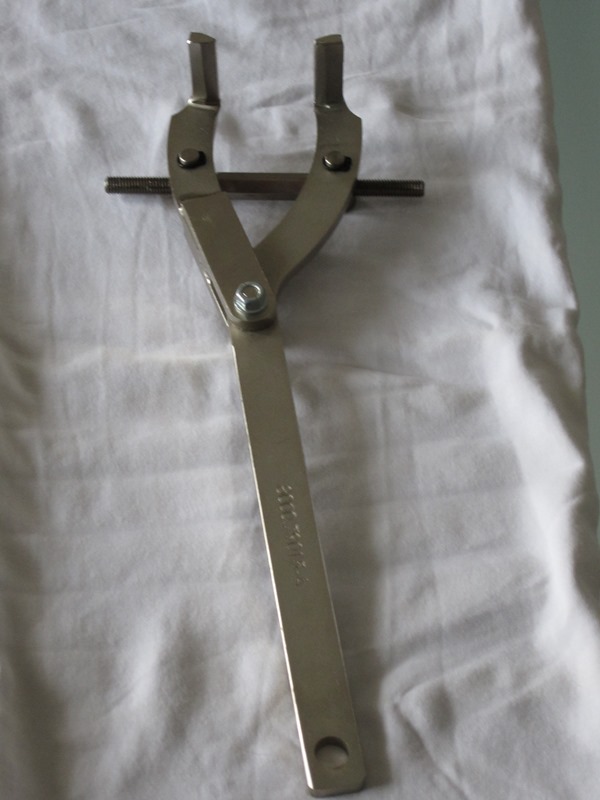 Halter.JPG