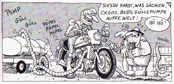 werner_güllepumpe.jpg