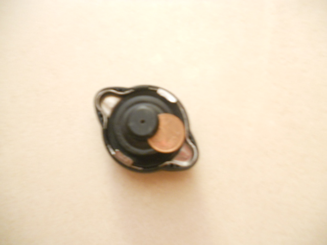 DSCN2099.JPG