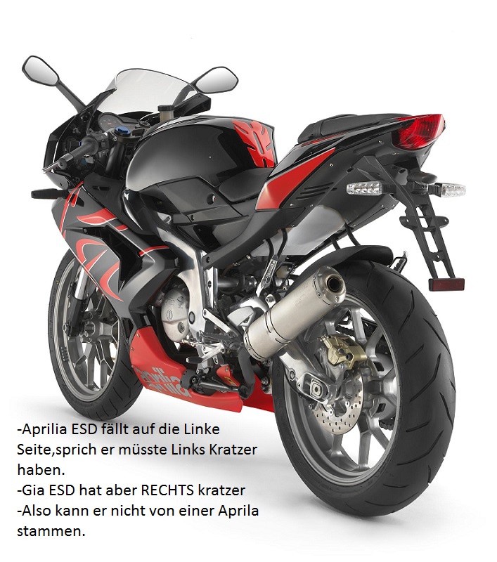 Aprilia-RS-125-2.jpg
