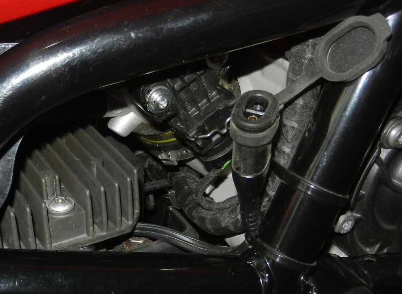DSCN5843C.JPG