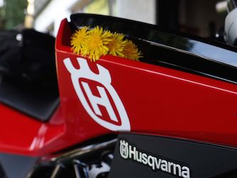 Nuda im Frühling