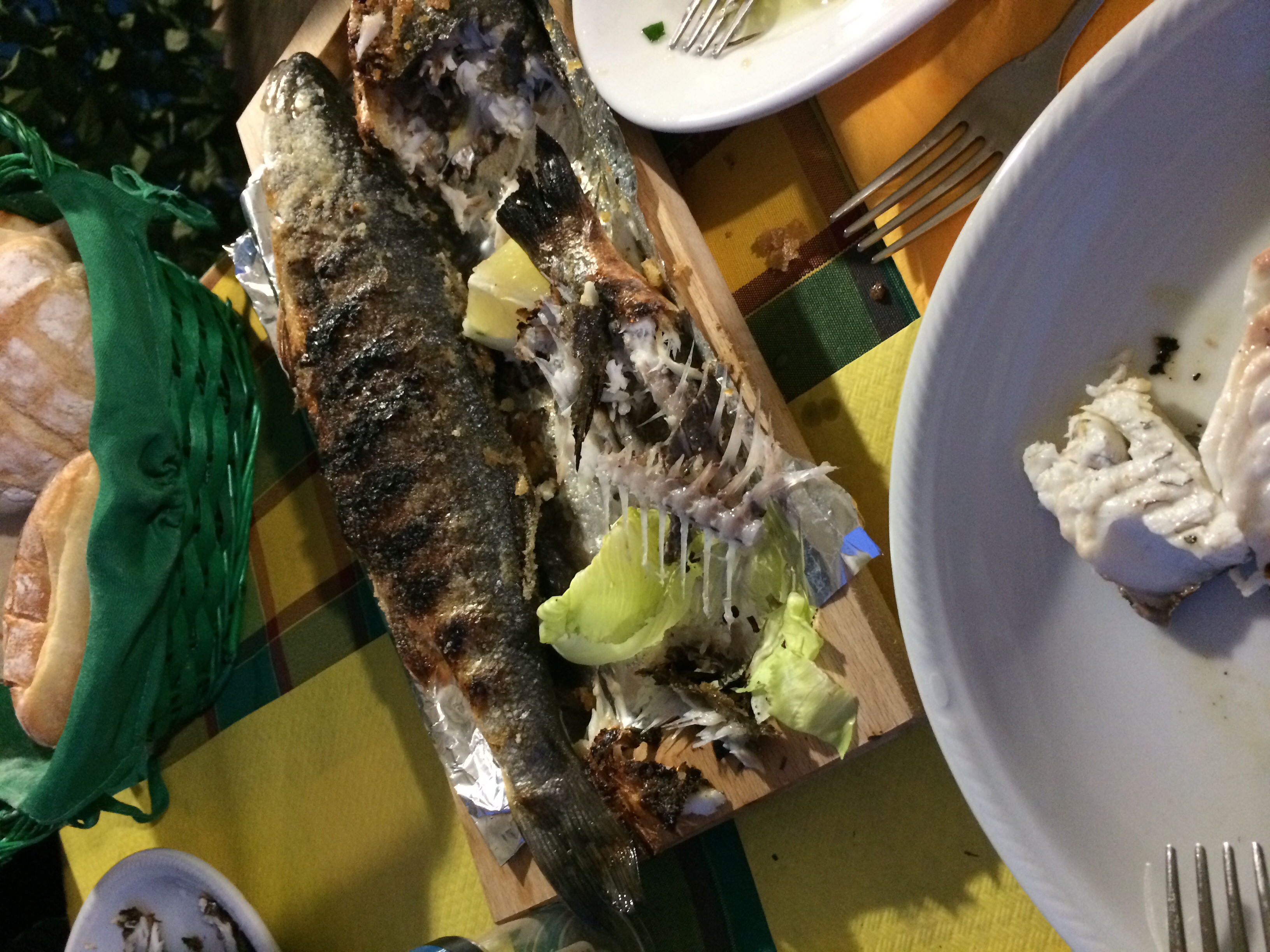 Geiler Fisch von &quot;Mama&quot;