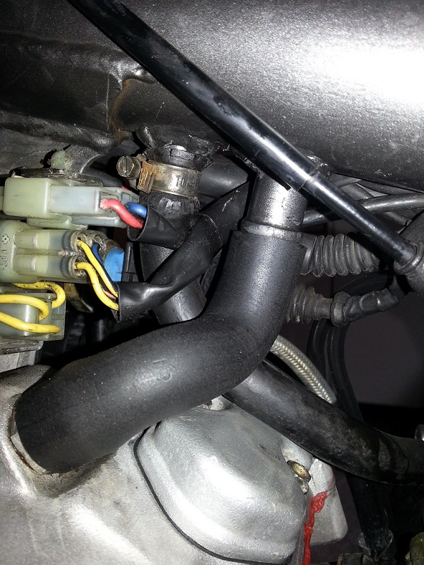 20140825_130430.jpg