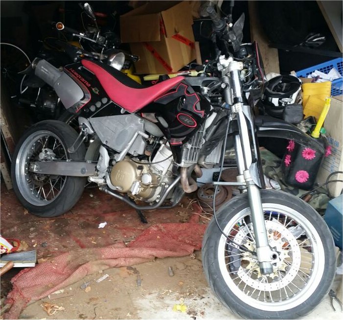 Das ist die Husky vom Sohnemann